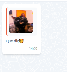 Tela do iHelp: Citações de Status e Catalogo no WhatsApp
